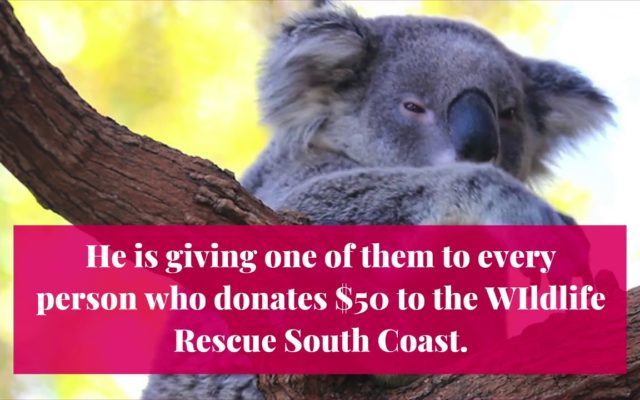 6 Year Old Massachusetts Boy Raises Hundreds of Thousands of Dollars to Help Australian Wildlife