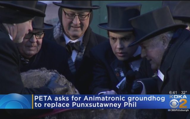 Will a Robot Groundhog Take Over for Punxsutawney Phil?