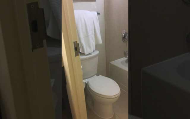 Couple Checks Into Hotel and Finds Toilet Too Big For Bathroom