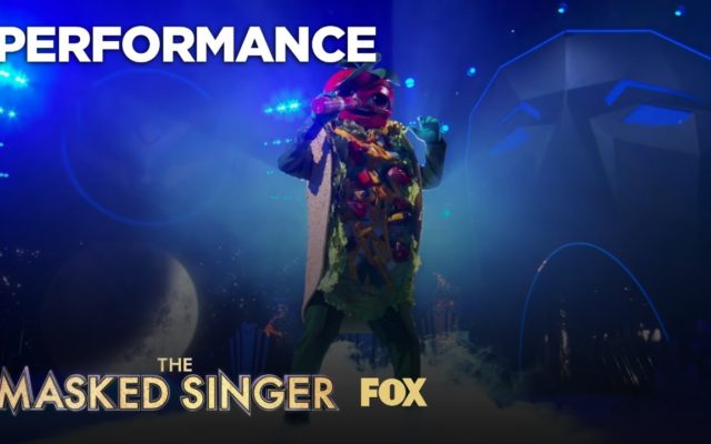 ‘The Masked Singer’ Introduced Us to 6 More Singers and I Think I Know Who Taco Is