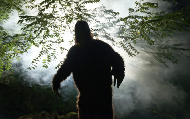 Did 2 Men Film Bigfoot at Salt Fork? You Be the Judge