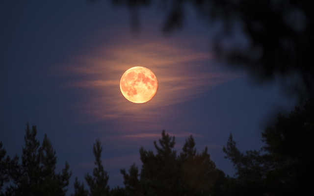 Halloween Will Feature A Full Moon For The 1st Time Since 1944