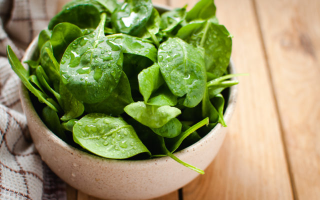 Scientists Create Spinach Plants That Can Send Emails