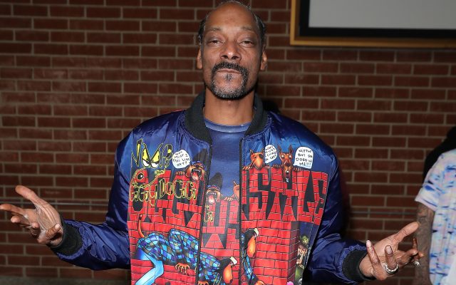 Snoop Dogg Leaves Live Stream Running For Eight Hours