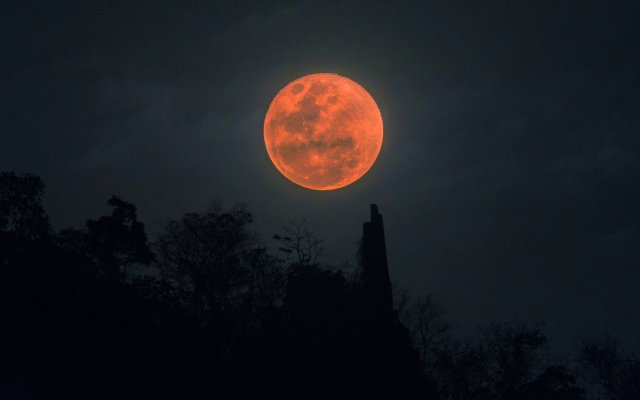 A Super Blood Moon Will Be Visible This Month – Here’s How to See It